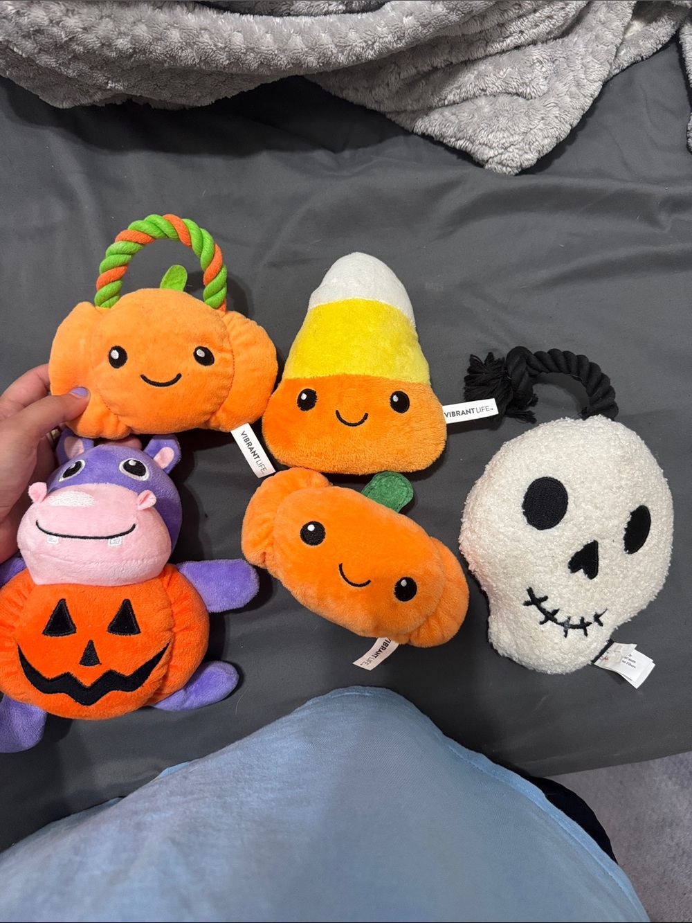 Vibrant Halloween Plush dog Toy Set in Orange, Purple, Yellow, White & Black